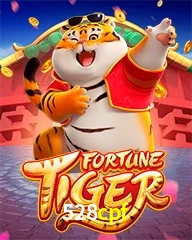528CPF.COM